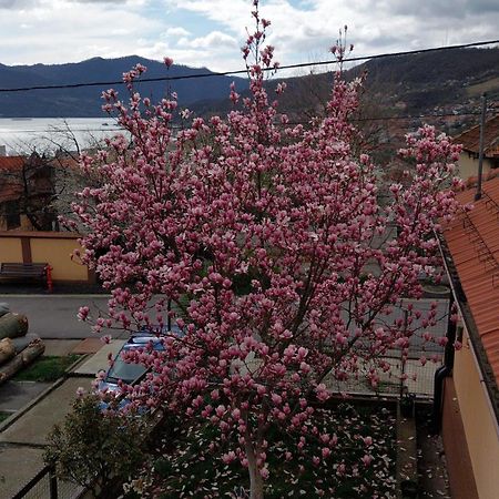 Casa Darius Apartment Orsova Bagian luar foto