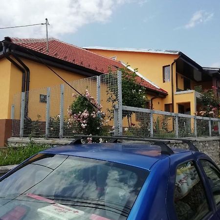 Casa Darius Apartment Orsova Bagian luar foto