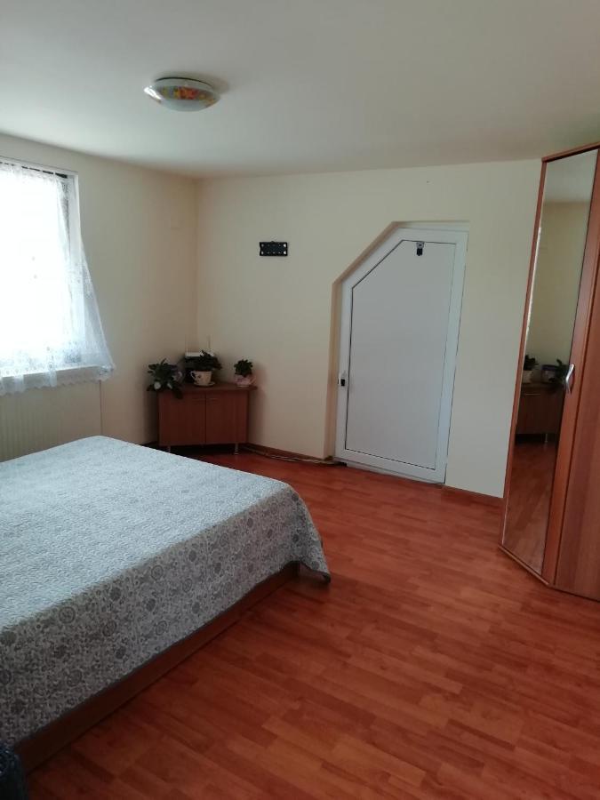 Casa Darius Apartment Orsova Bagian luar foto