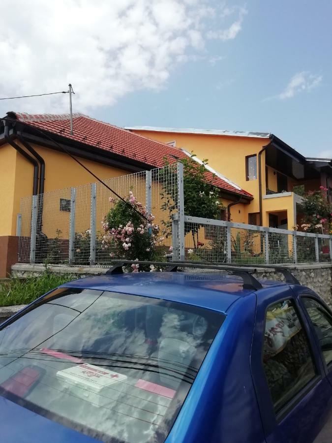 Casa Darius Apartment Orsova Bagian luar foto