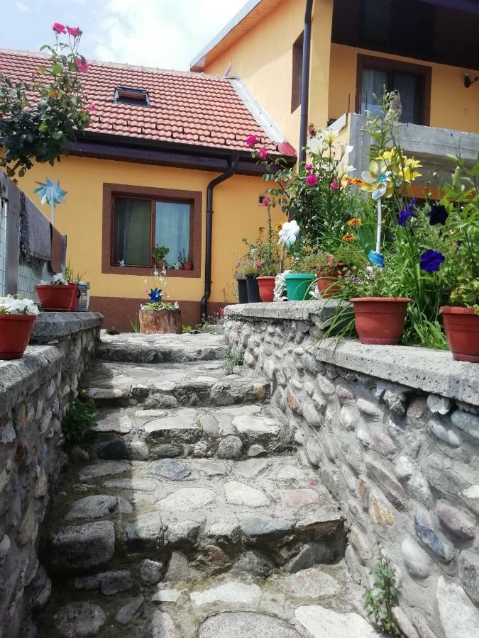 Casa Darius Apartment Orsova Bagian luar foto