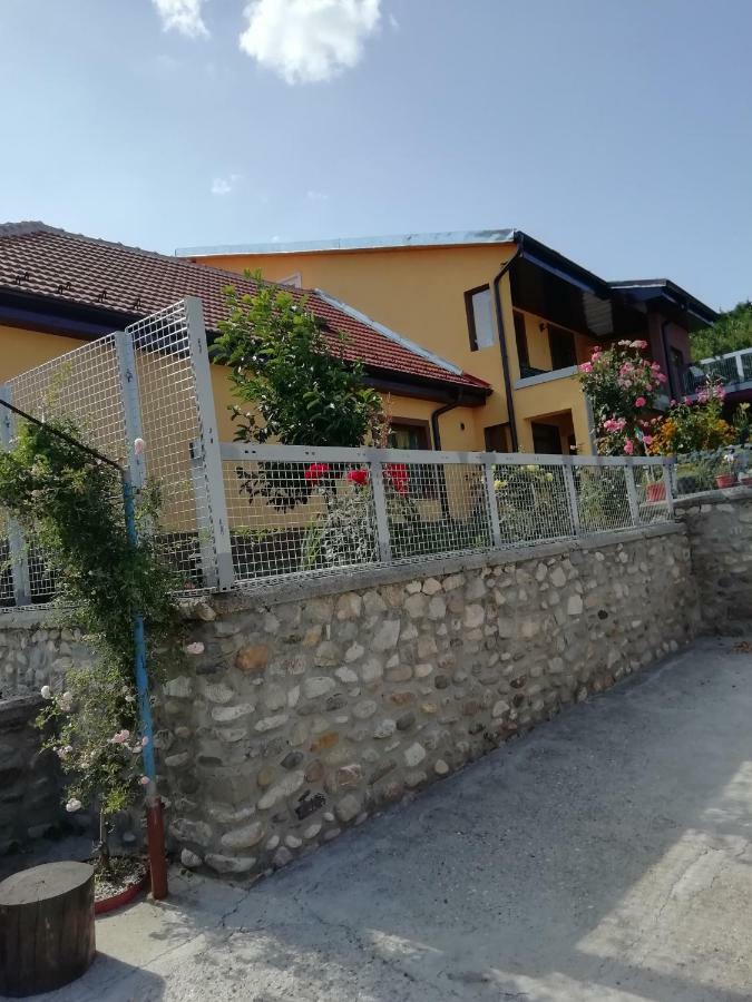 Casa Darius Apartment Orsova Bagian luar foto
